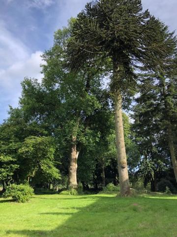 Merveilleux Cottage Dans Parc De 7,5 Hectares Saint-Nicolas-du-Pelem Bagian luar foto