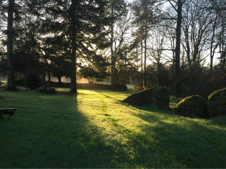 Merveilleux Cottage Dans Parc De 7,5 Hectares Saint-Nicolas-du-Pelem Bagian luar foto